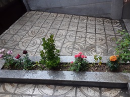 باران زیبای بهاری که دل میبرد...