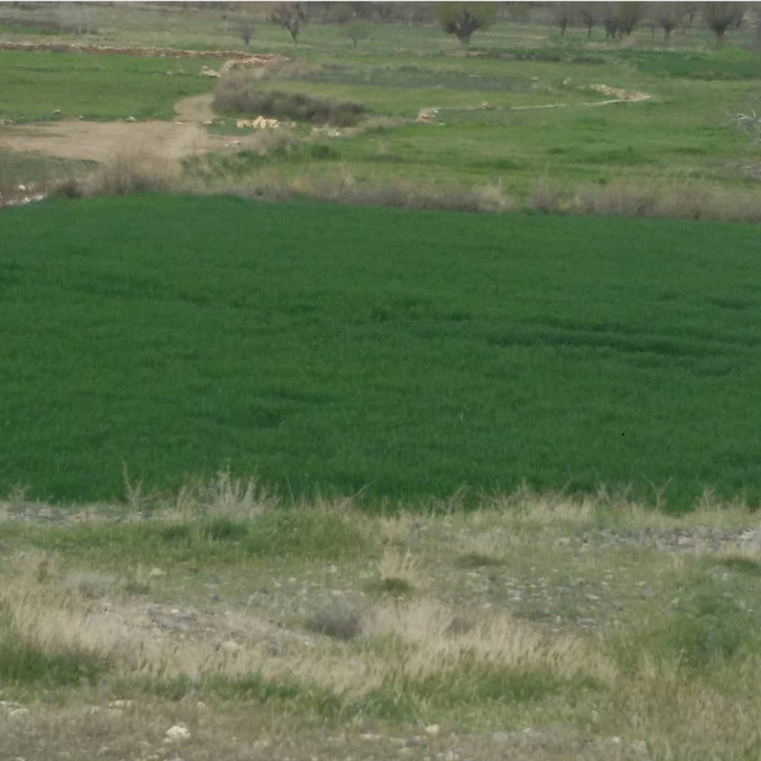 <strong>طبیعت</strong> <strong>فروردین</strong> ماه <strong>طرق،طرق</strong> رود