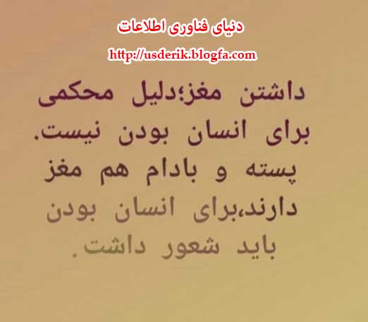 داشتن مغز نشانه انسان بودن نیست