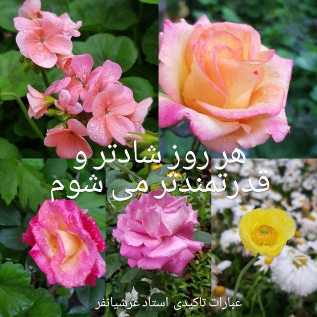 باغچه منزل ما 